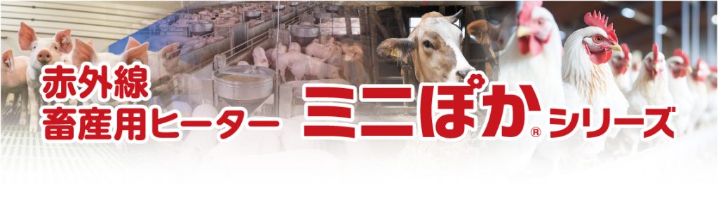 日本物流新聞に「ミニぽかシリーズリニューアル」に関する記事が掲載されました